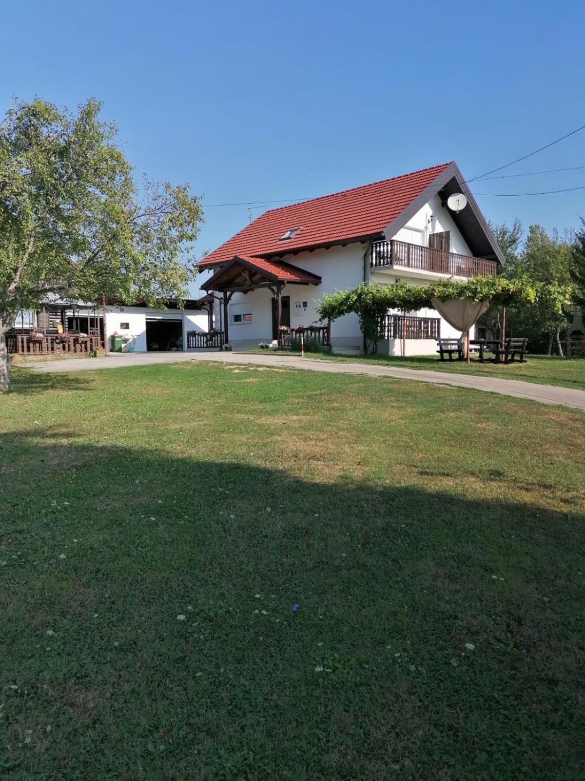מלון סליסטה דרזניקו House Viktoria מראה חיצוני תמונה