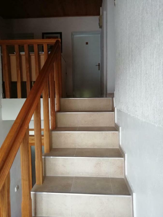 מלון סליסטה דרזניקו House Viktoria מראה חיצוני תמונה